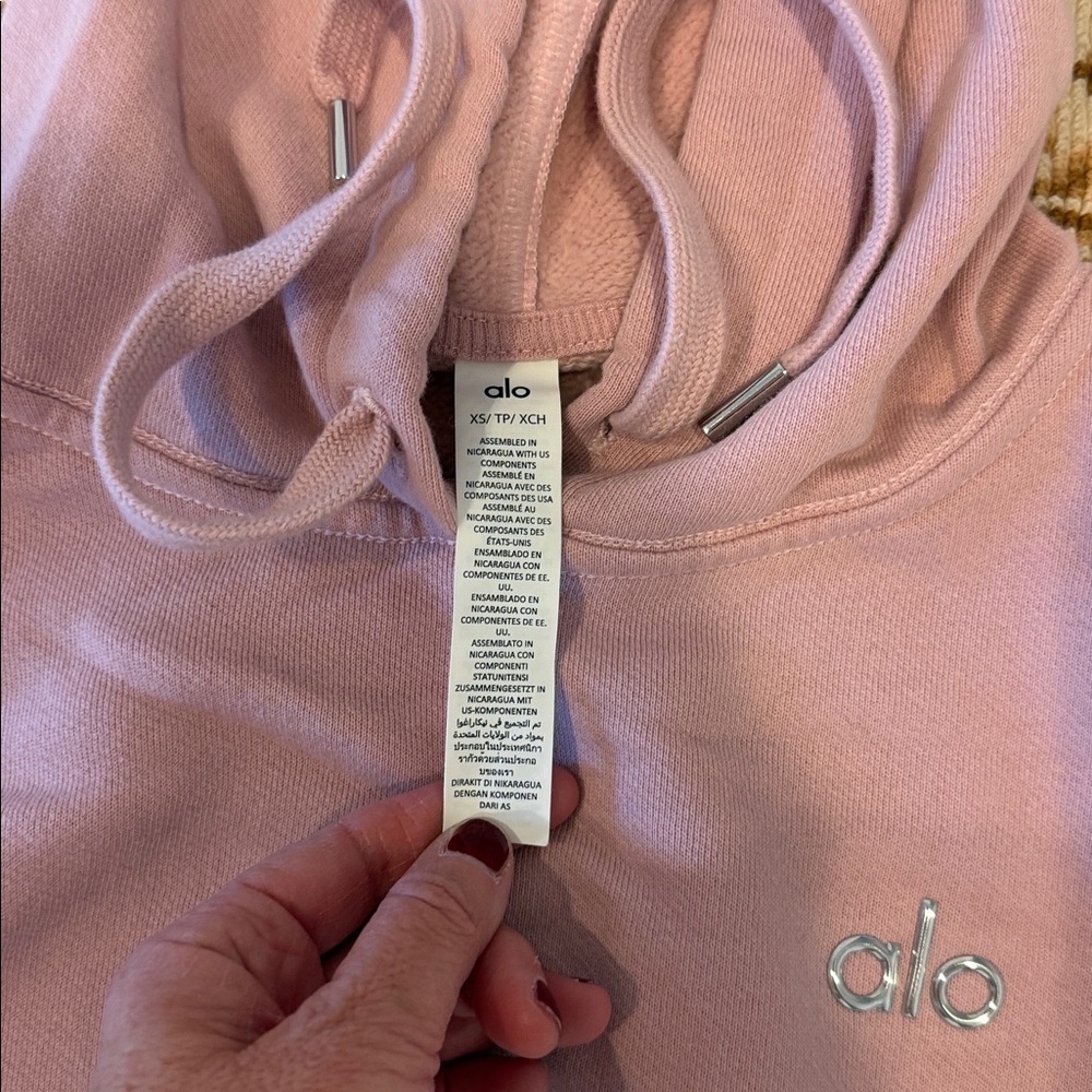 ALO Yoga Dusty Pink Hoodie Sweater - Picture 2 of 3
